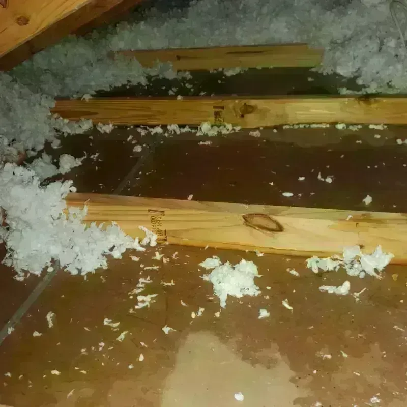 Attic Water Damage in Hillsboro, MO