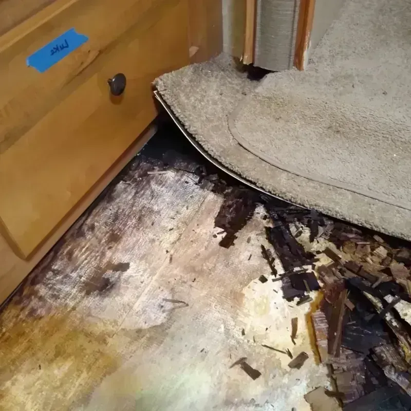 Wood Floor Water Damage in Hillsboro, MO